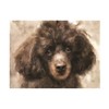 Trademark Fine Art Lois Bryan 'French Black Poodle' Canvas Art, 14x19 LBR00412-C1419GG